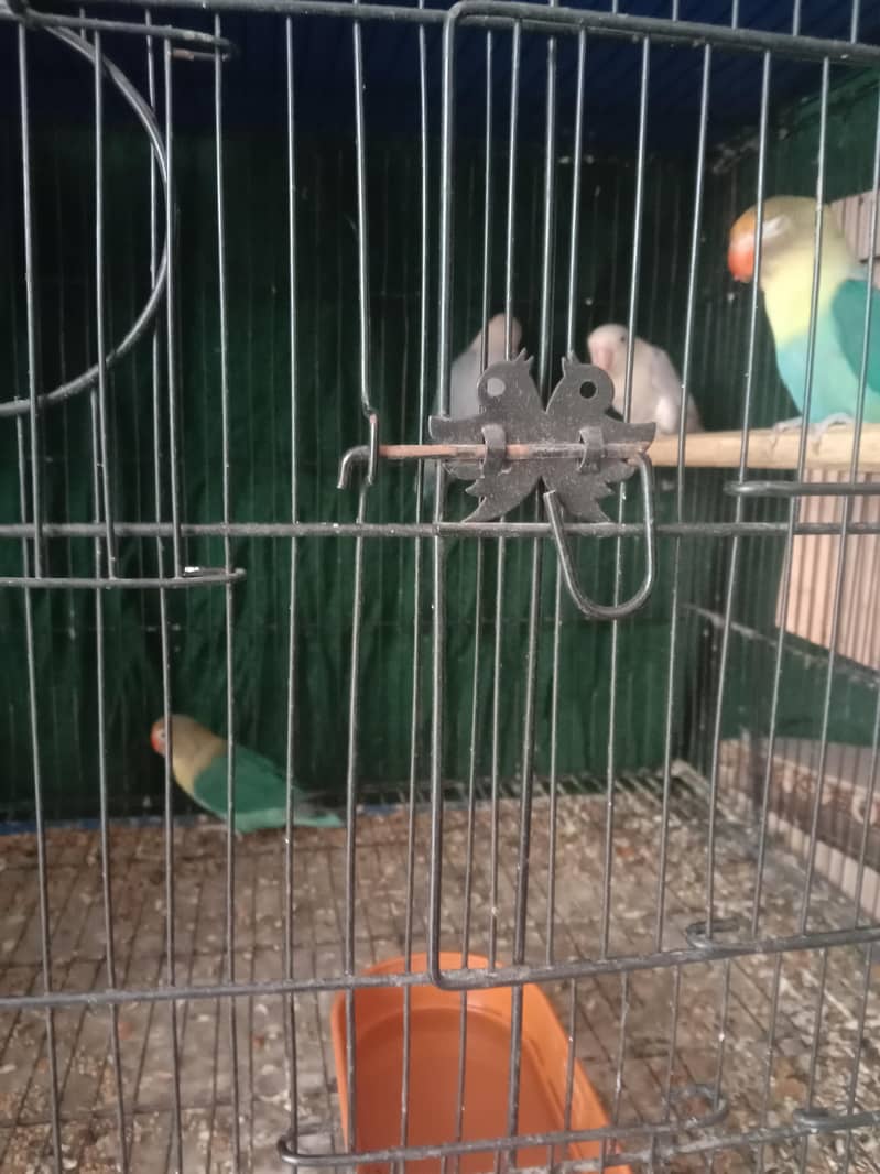 for sale with cage

                                                            alt=