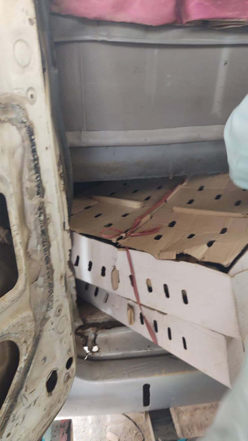 golden misri chick's/ Golden misri chuzay/ chicks /chuzay

                                                            alt=