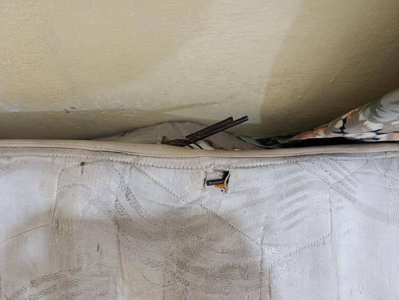 Master celeste king size spring mattress

                                                            alt=