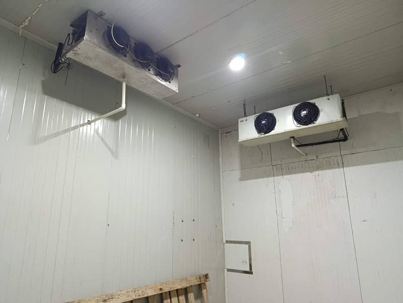 French Fries Production Line (Automatic-200Kg/hr) & Cold Storage

                                                            alt=