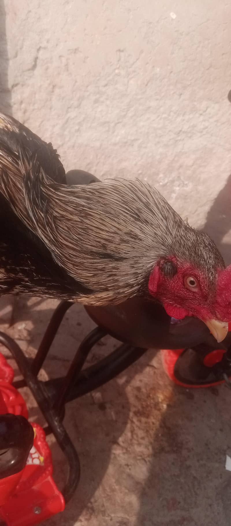 Sub Tek

                                                            alt=