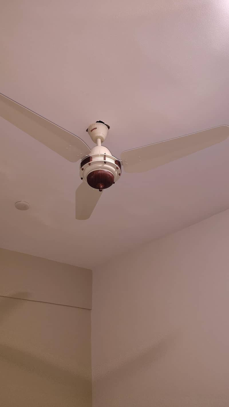 royal ceiling fan

                                                            alt=