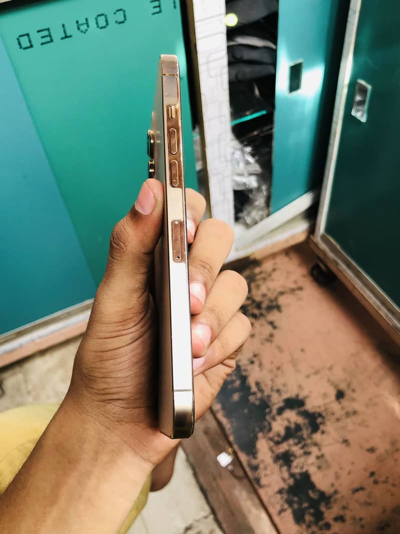 12 pro max 256Gb PTA Approved

                                                            alt=