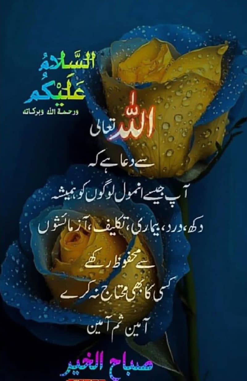 New Asia 2018 model

                                                            alt=