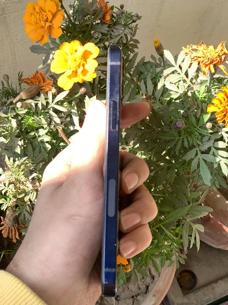 Iphone 12 Non pta/jv

                                                            alt=