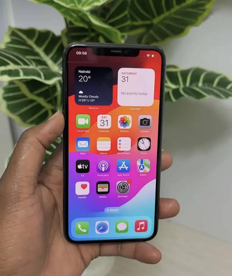 iPhone

                                                            alt=