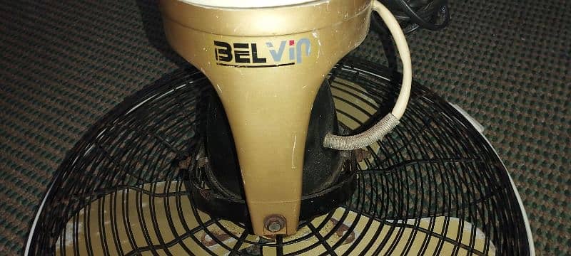 BEL VIP FAN

                                                            alt=