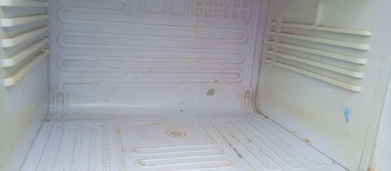 fridega

                                                            alt=