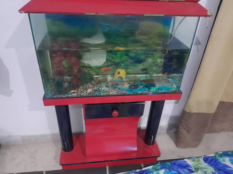 3 gold fishes with accessories

                                                            alt=