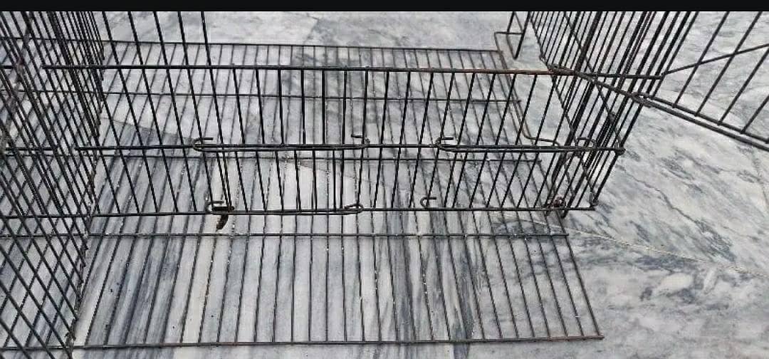 birds cage

                                                            alt=