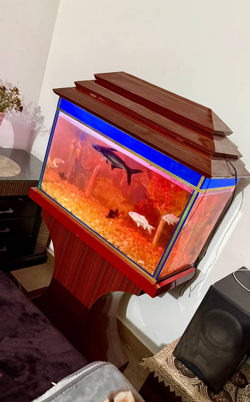 Aquariums  | Fish Aquariums | Fish Tank | Fish Aquariums Tank For Sale

                                                            alt=