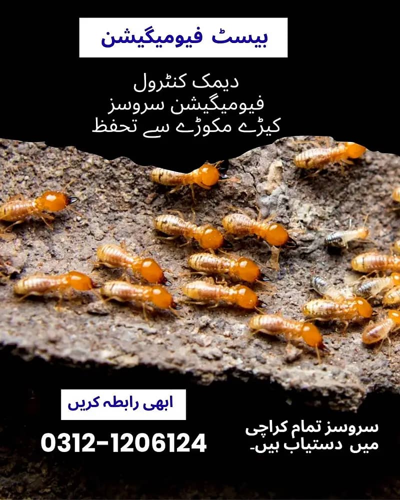 Termite spray, demak control services, Pest control , Fumigation

                                                            alt=