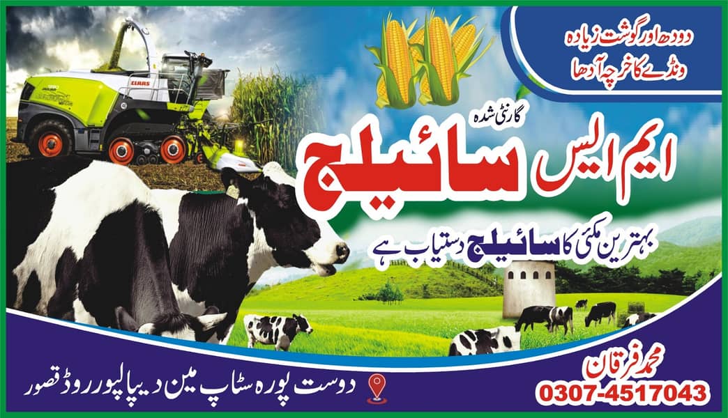 Corn Silage / Animal feed / makai sailage ,03074517043

                                                            alt=