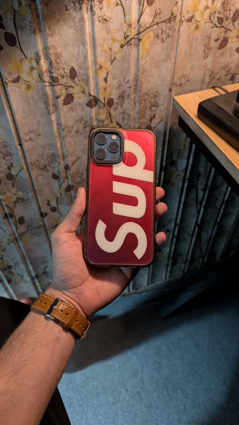 12 Pro Max 10/10 | W/BOX-RECIEPT 256GB

                                                            alt=