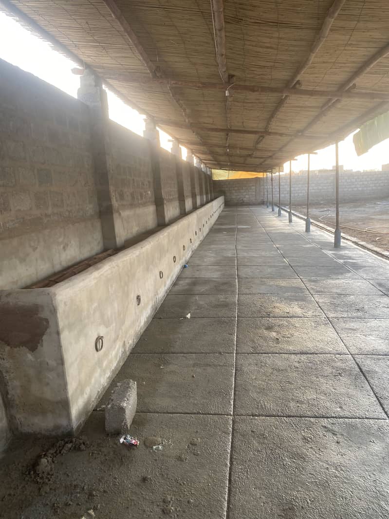 Cattle Farm Dairy Farm Goat Farm for Rent

                                                            alt=