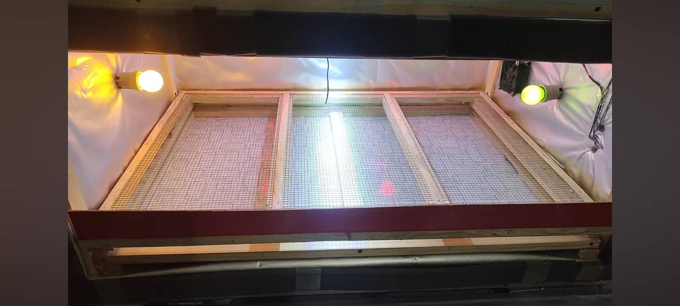 100 CHICKS BROODER Energy Saver 20 watt and cages / Pinjra

                                                            alt=