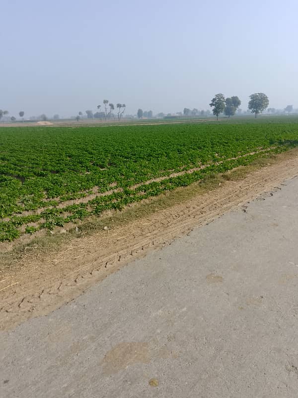 134 Kanal land Raqba for sale in Chakwal Mandara Rawat Rawalpindi Islamabad

                                                            alt=