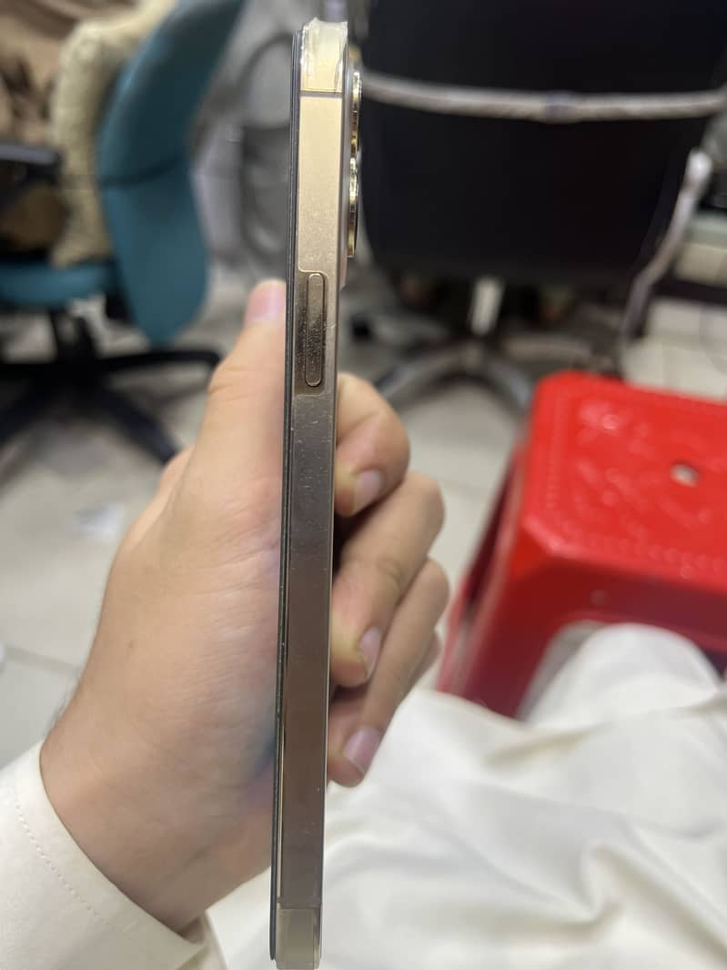 12 Pro max

                                                            alt=