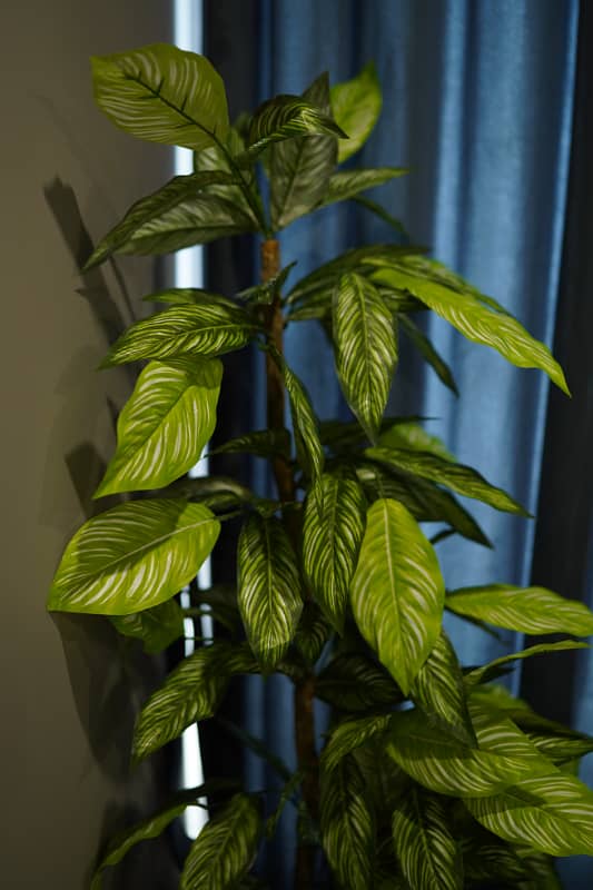 Studio Apartment For Sale In Topvity-1 Islamabad

                                                            alt=