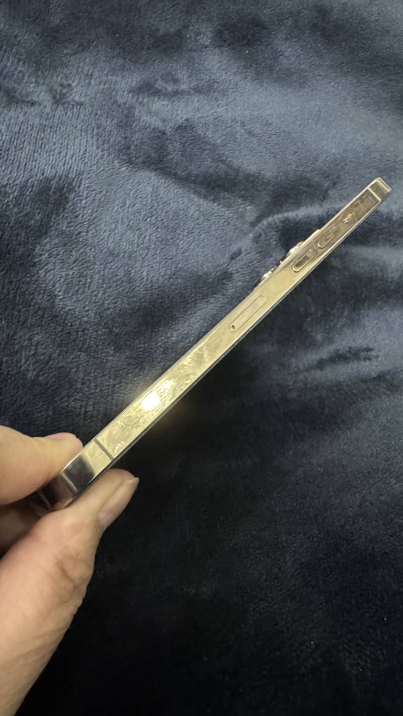 iPhone 12 pro max

                                                            alt=