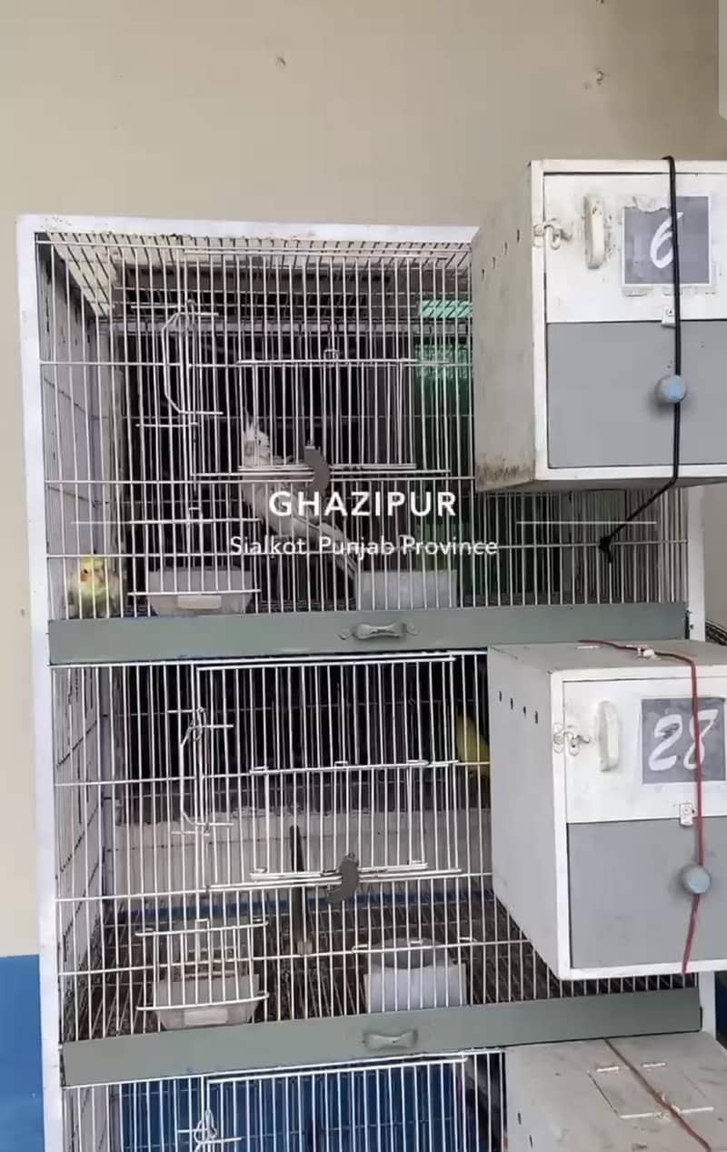 sale cage

                                                            alt=