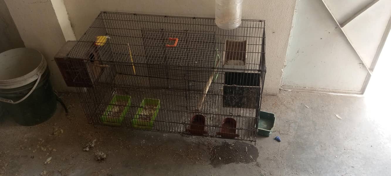 Love bird cage for sale

                                                            alt=