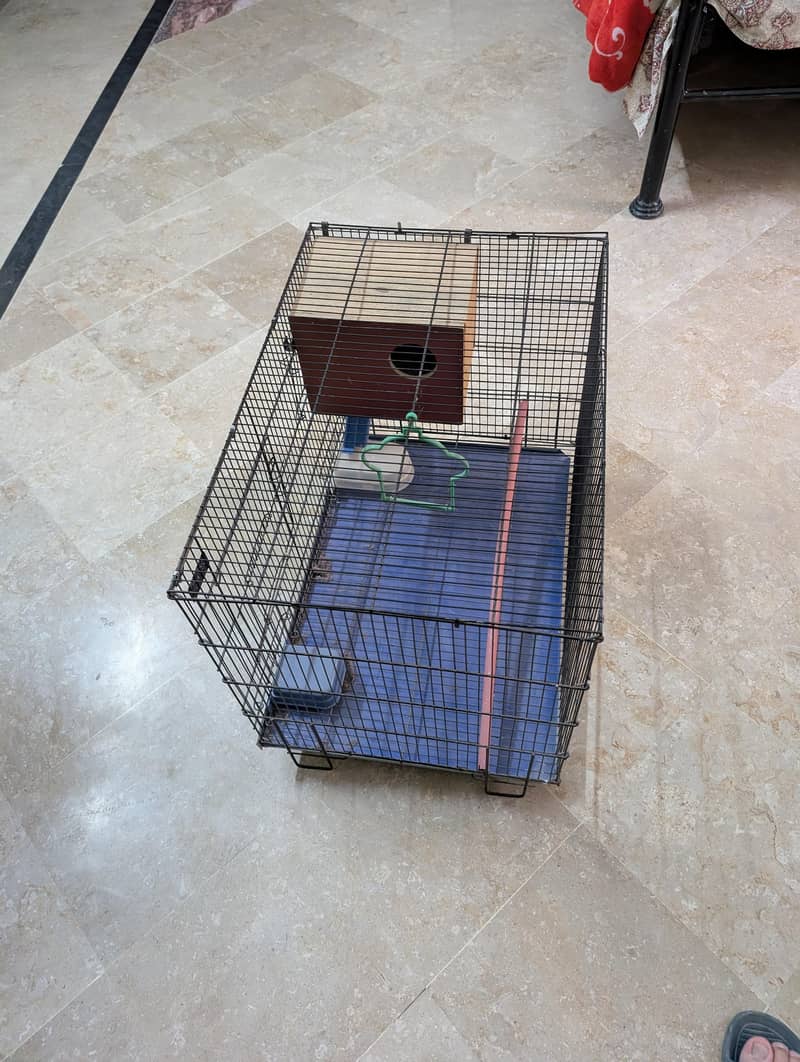 bird steel cage 2 foot lambai

                                                            alt=