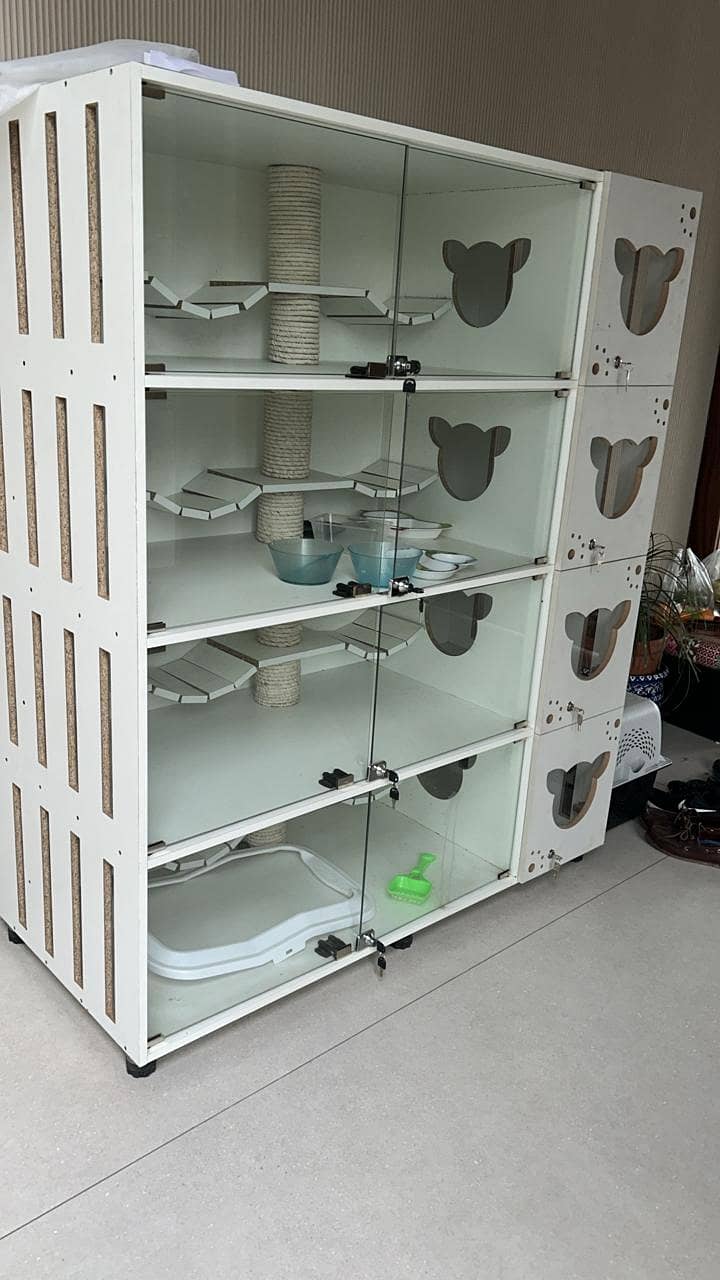 Cat house

                                                            alt=