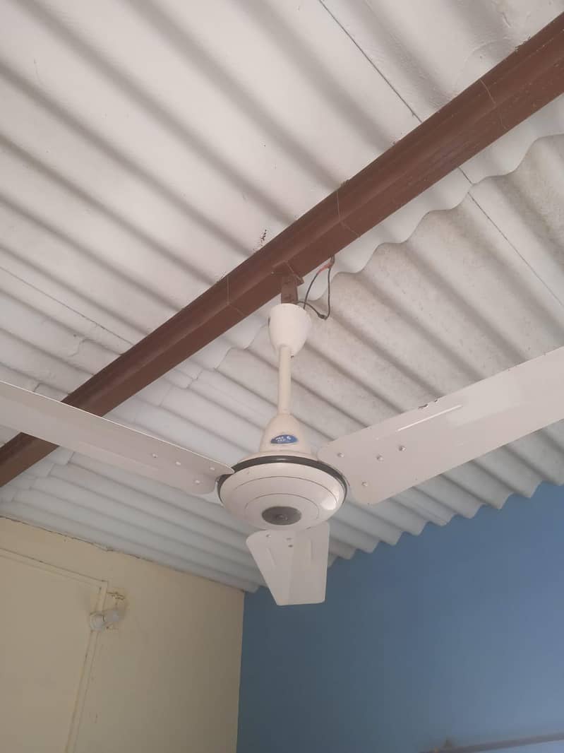 Ceiling Fan | Pak Fan