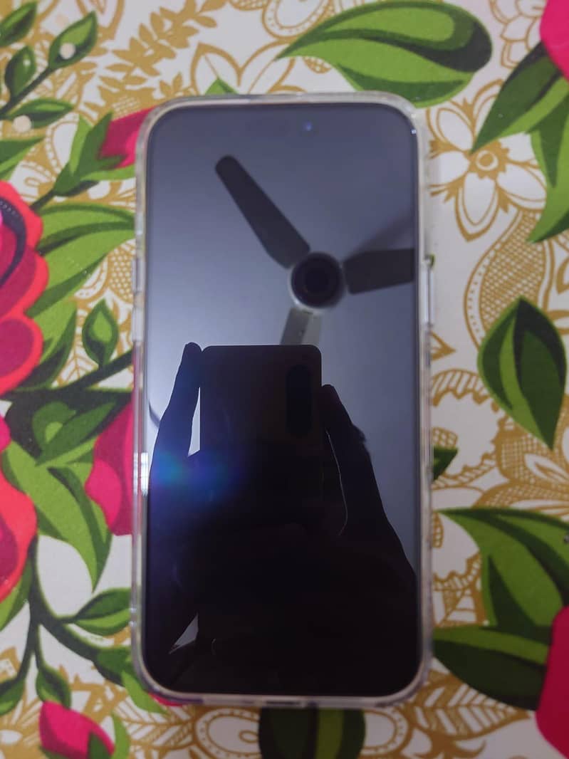 16 pro max

                                                            alt=