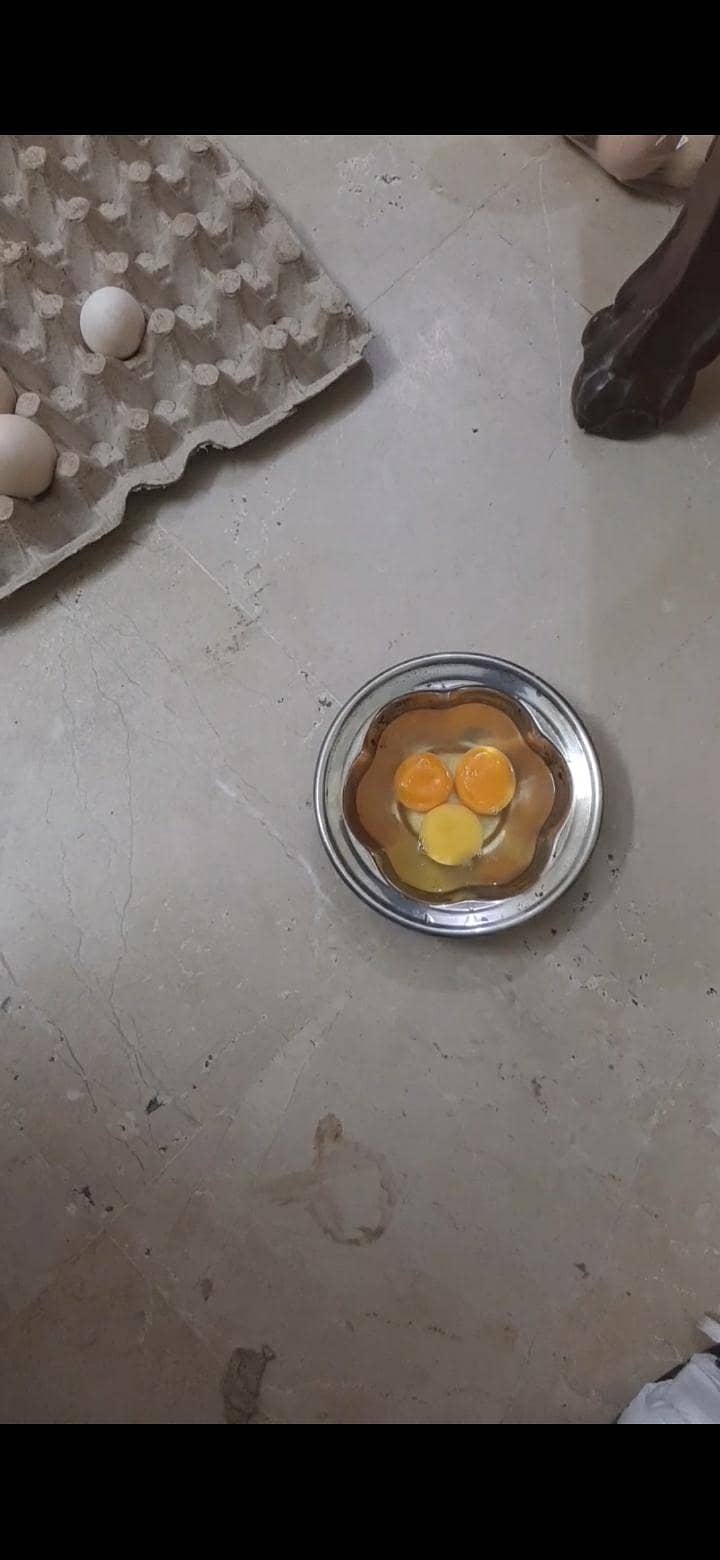 desi eggs/pure desi eggs /free range eggs

                                                            alt=