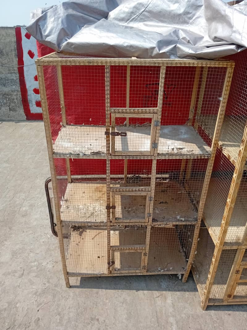 cage. .

                                                            alt=