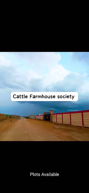 Cattle Farm dairy farm Rejected

                                                            alt=