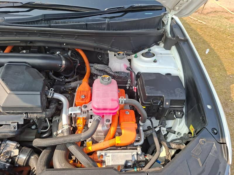 Tuscon Signature

                                                            alt=