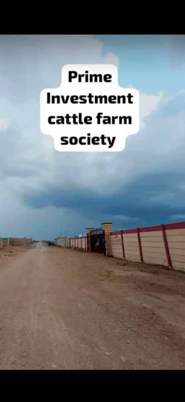 Cattle Farm goat farm dairy farm

                                                            alt=