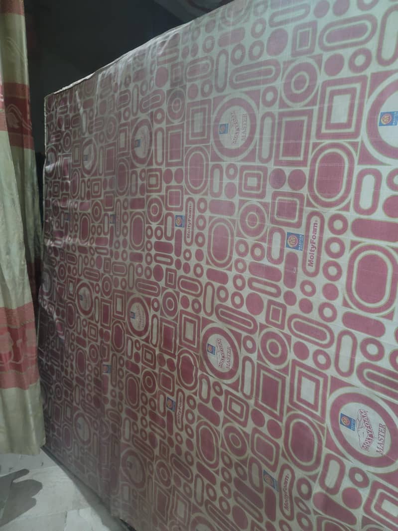 master molty foam

                                                            alt=