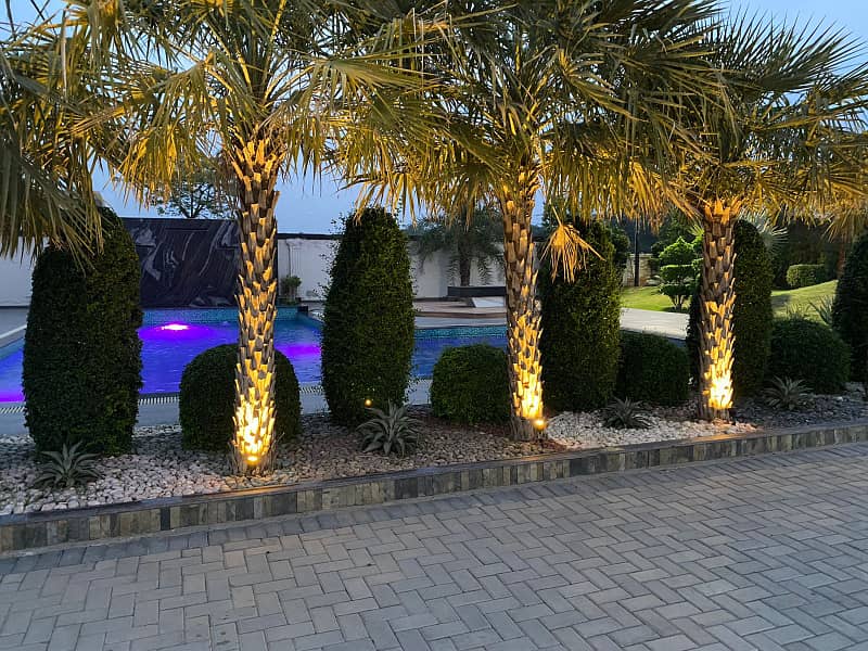 8 kanal farm house available for in badian road

                                                            alt=