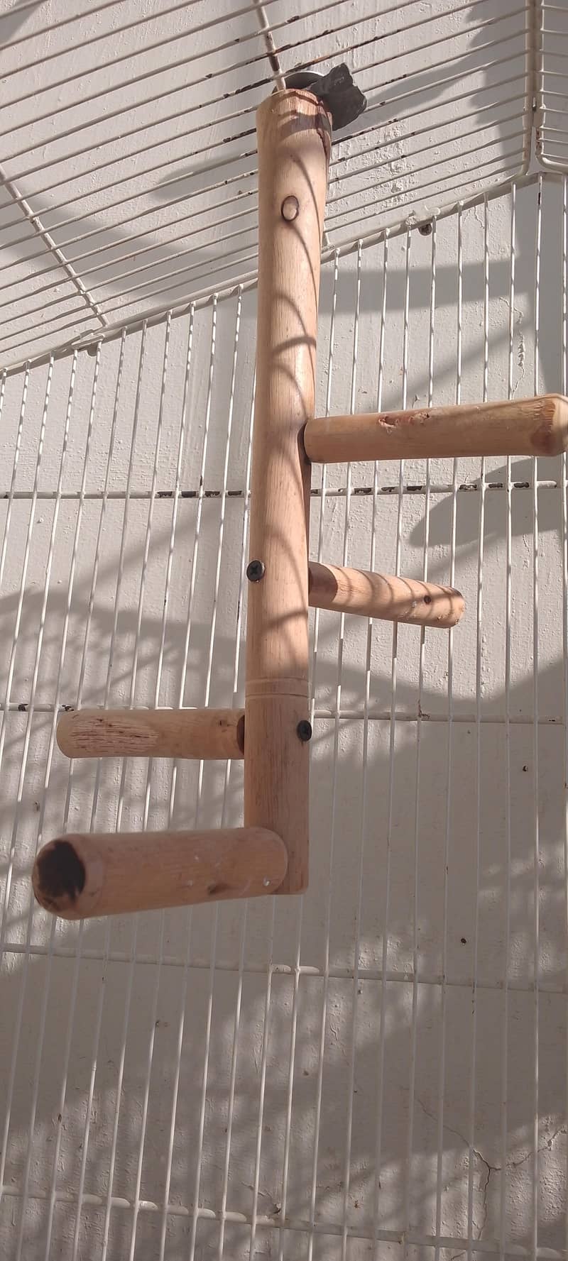 Master cage with Big Toys | 10/10 condition | Freshly painted

                                                            alt=