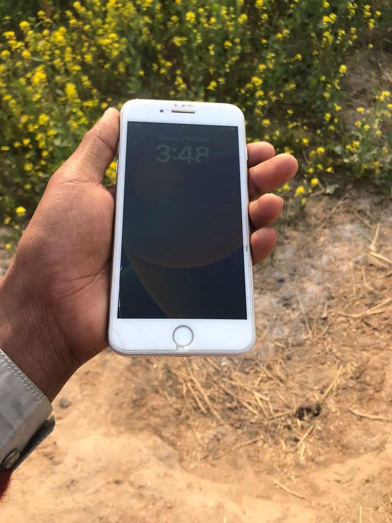 ifhone 8 plus jv

                                                            alt=