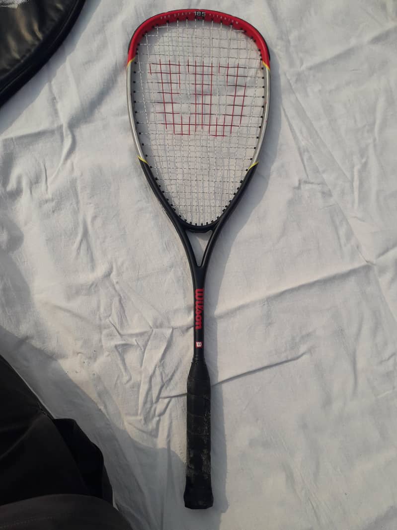 Wilson Pro Staff 185 Titanium Squash Racket Head 500sq cm

                                                            alt=