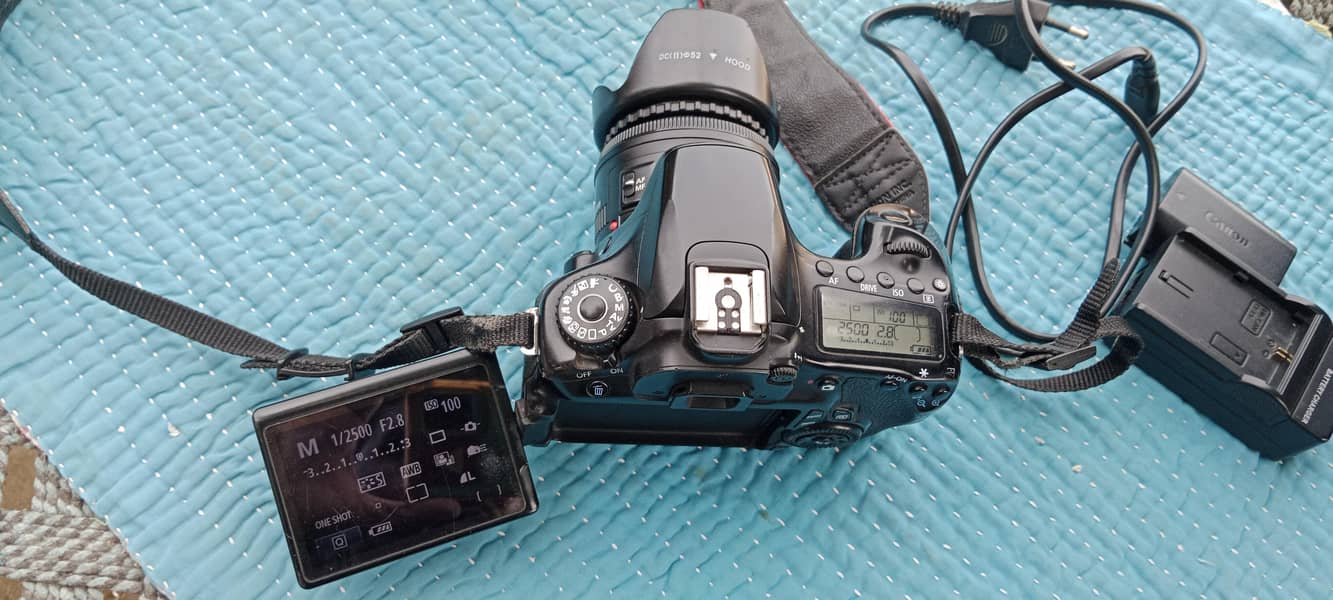 Canon 60d 50mm

                                                            alt=