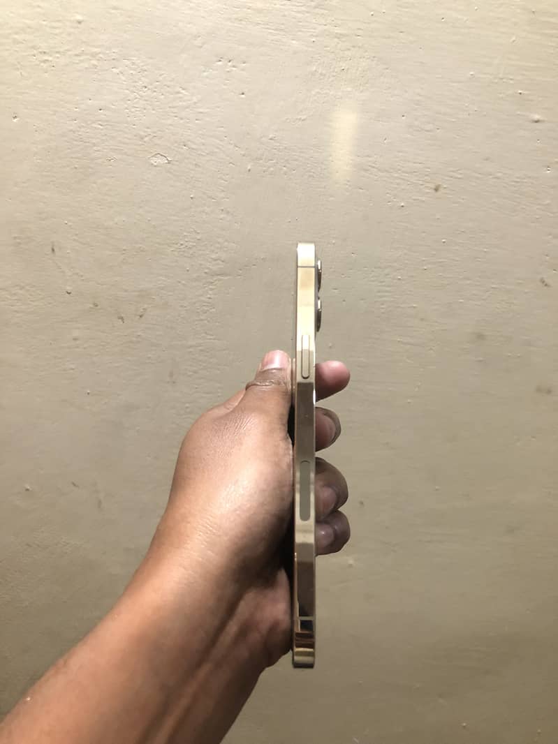 Iphone 12 pro max pta approved 256gb

                                                            alt=