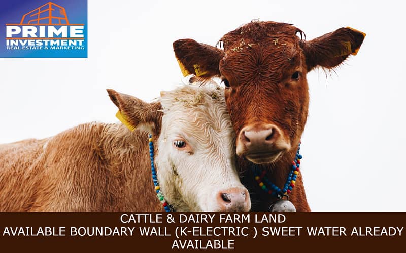 FISH FARM GOAT FARM CATTLE FARM DAIRY FARM

                                                            alt=