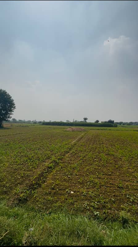 9 Kanal Industrial Land For Sale On Multan Road Manga Mandi Lahore

                                                            alt=
