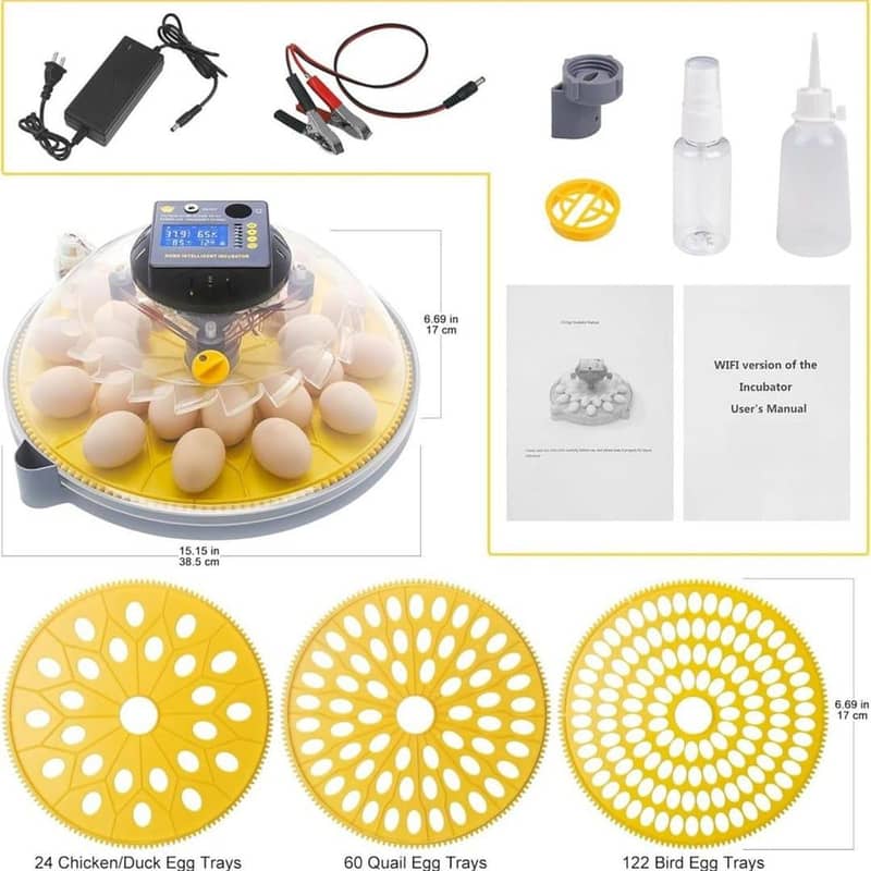 best incubator for parrots

                                                            alt=