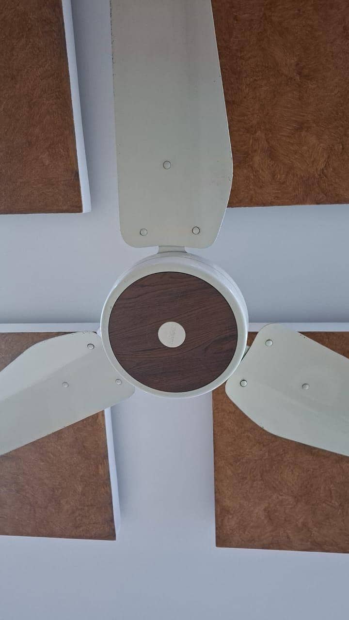 Lahore fan

                                                            alt=