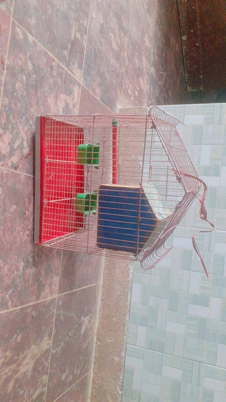 BIRDS CAGE

                                                            alt=