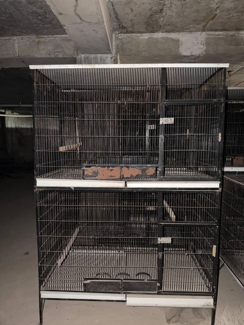 Big birds cages

                                                            alt=