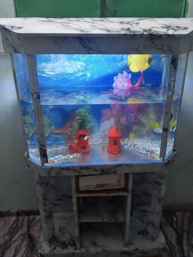 eqorium

                                                            alt=