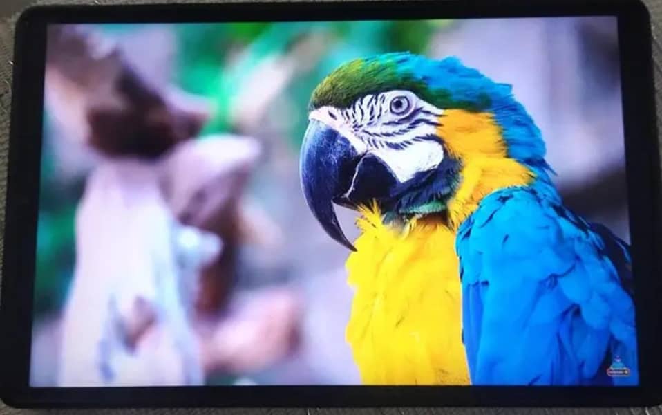 Lenovo Legion Y300

                                                            alt=